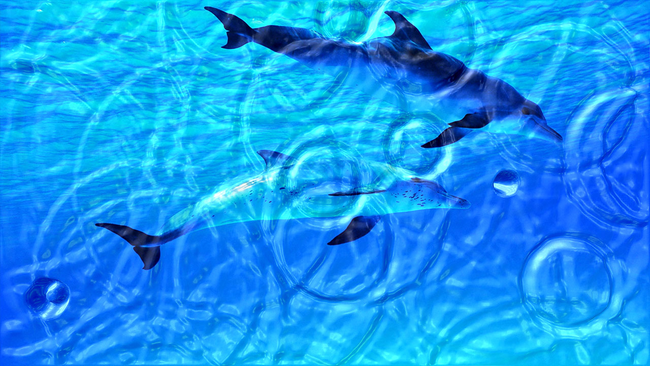 Click to view Animated Wallpaper: Watery Desktop 3D 3.999 screenshot